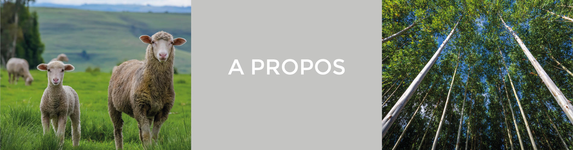 a propos